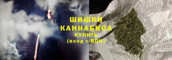 дживик Богданович