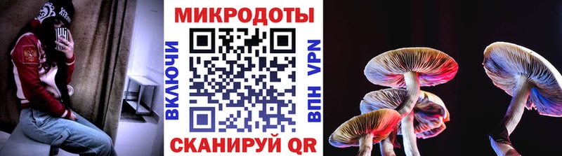 сколько стоит  Челябинск  Псилоцибиновые грибы Magic Shrooms 